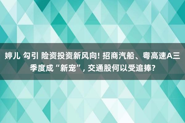 婷儿 勾引 险资投资新风向! 招商汽船、粤高速A三季度成“新宠”， 交通股何以受追捧?