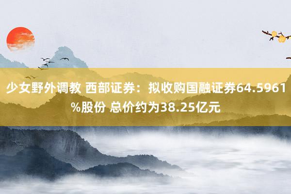 少女野外调教 西部证券：拟收购国融证券64.5961%股份 总价约为38.25亿元