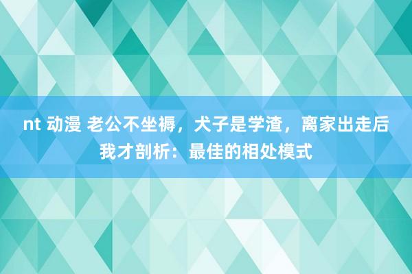 nt 动漫 老公不坐褥，犬子是学渣，离家出走后我才剖析：最佳的相处模式