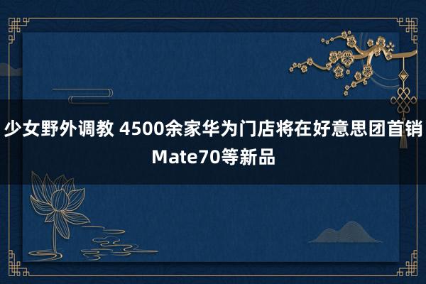 少女野外调教 4500余家华为门店将在好意思团首销Mate70等新品