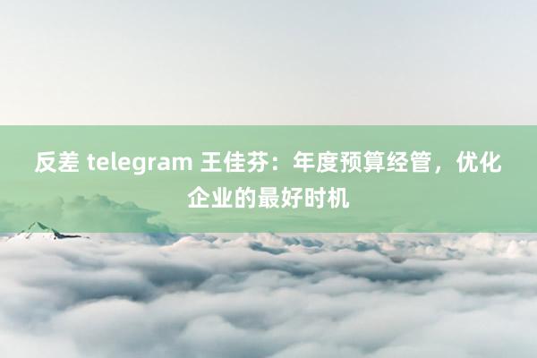 反差 telegram 王佳芬：年度预算经管，优化企业的最好时机