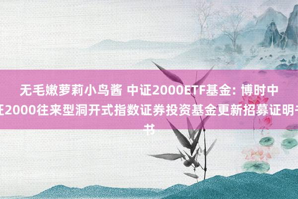 无毛嫩萝莉小鸟酱 中证2000ETF基金: 博时中证2000往来型洞开式指数证券投资基金更新招募证明书