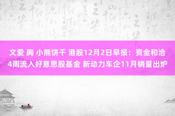 文爱 胸 小熊饼干 港股12月2日早报：资金和洽4周流入好意思股基金 新动力车企11月销量出炉