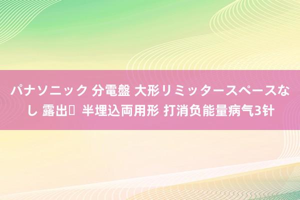 パナソニック 分電盤 大形リミッタースペースなし 露出・半埋込両用形 打消负能量病气3针