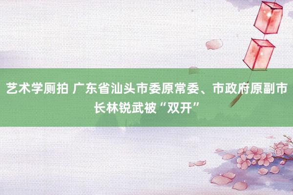 艺术学厕拍 广东省汕头市委原常委、市政府原副市长林锐武被“双开”