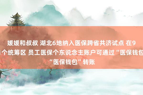 媛媛和叔叔 湖北6地纳入医保跨省共济试点 在9省市31个统筹区 员工医保个东说念主账户可通过“医保钱包”转账