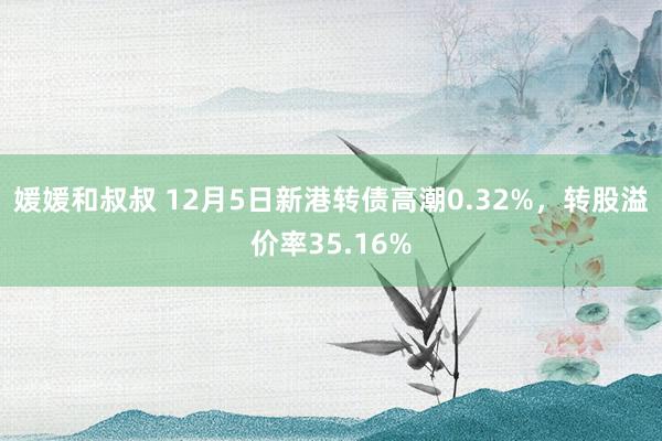 媛媛和叔叔 12月5日新港转债高潮0.32%，转股溢价率35.16%