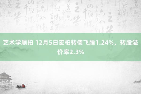 艺术学厕拍 12月5日宏柏转债飞腾1.24%，转股溢价率2.3%