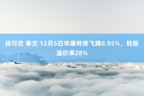 徐可欣 拳交 12月5日华康转债飞腾0.95%，转股溢价率28%