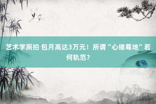 艺术学厕拍 包月高达3万元！所谓“心绪蓦地”若何轨范？