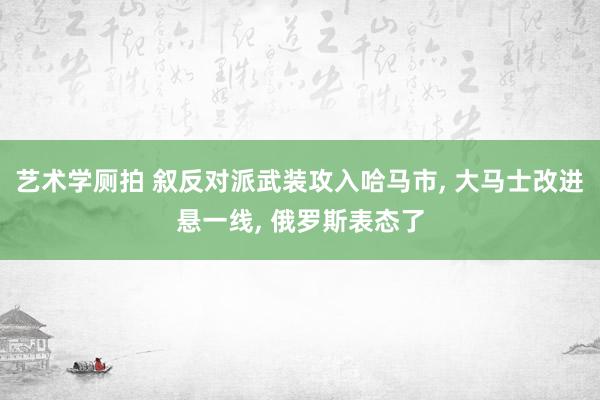 艺术学厕拍 叙反对派武装攻入哈马市， 大马士改进悬一线， 俄罗斯表态了