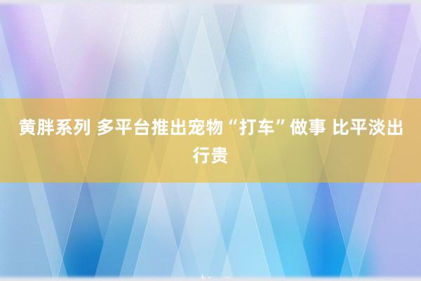 黄胖系列 多平台推出宠物“打车”做事 比平淡出行贵