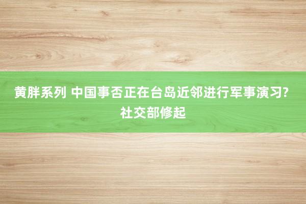 黄胖系列 中国事否正在台岛近邻进行军事演习? 社交部修起