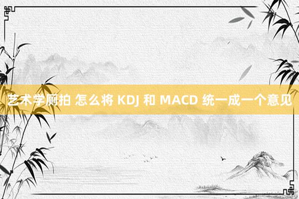 艺术学厕拍 怎么将 KDJ 和 MACD 统一成一个意见