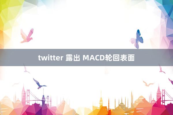 twitter 露出 MACD轮回表面