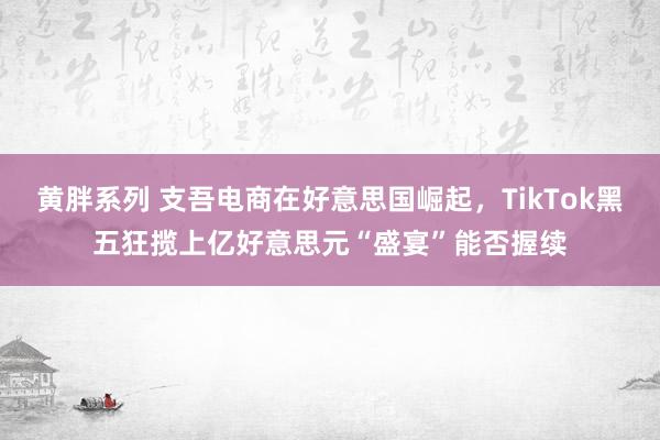 黄胖系列 支吾电商在好意思国崛起，TikTok黑五狂揽上亿好意思元“盛宴”能否握续