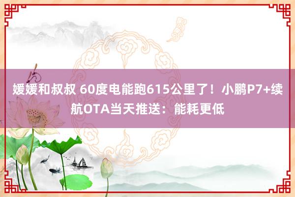 媛媛和叔叔 60度电能跑615公里了！小鹏P7+续航OTA当天推送：能耗更低