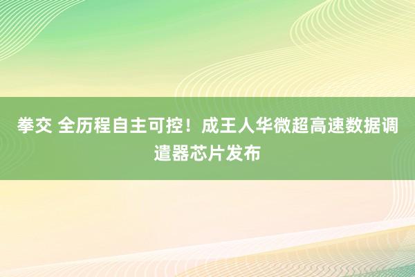 拳交 全历程自主可控！成王人华微超高速数据调遣器芯片发布