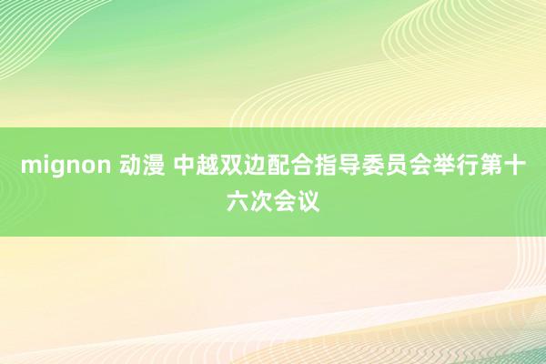 mignon 动漫 中越双边配合指导委员会举行第十六次会议