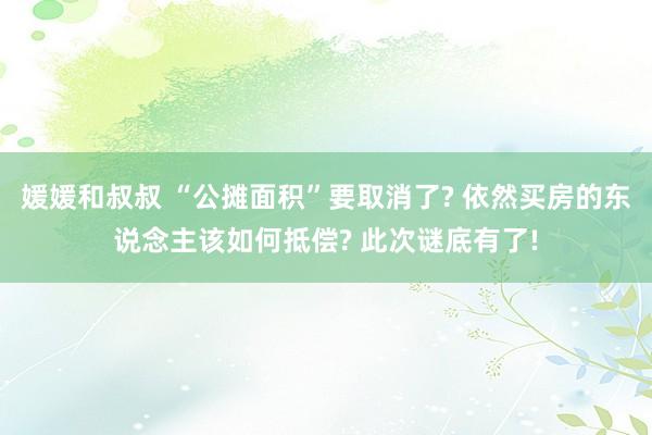 媛媛和叔叔 “公摊面积”要取消了? 依然买房的东说念主该如何抵偿? 此次谜底有了!