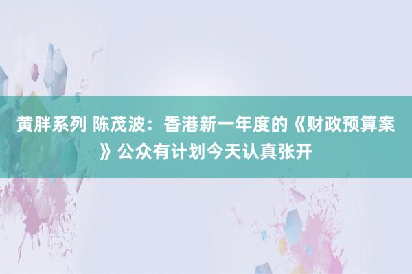 黄胖系列 陈茂波：香港新一年度的《财政预算案》公众有计划今天认真张开