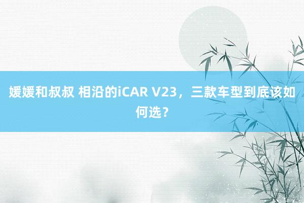 媛媛和叔叔 相沿的iCAR V23，三款车型到底该如何选？