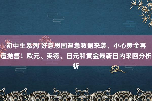 初中生系列 好意思国遑急数据来袭、小心黄金再遭抛售！欧元、英镑、日元和黄金最新日内来回分析