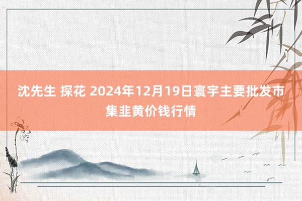 沈先生 探花 2024年12月19日寰宇主要批发市集韭黄价钱行情