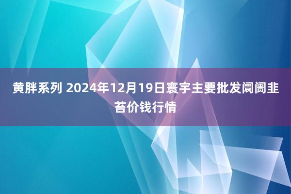 黄胖系列 2024年12月19日寰宇主要批发阛阓韭苔价钱行情