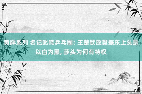 黄胖系列 名记叱咤乒乓圈: 王楚钦放樊振东上头是以白为黑， 莎头为何有特权