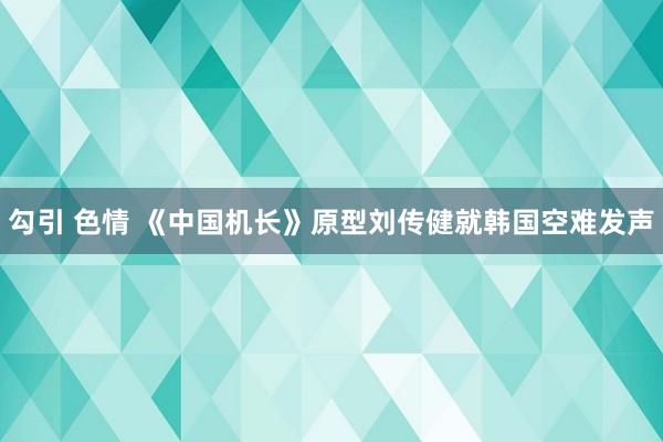 勾引 色情 《中国机长》原型刘传健就韩国空难发声