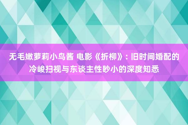 无毛嫩萝莉小鸟酱 电影《折柳》: 旧时间婚配的冷峻扫视与东谈主性眇小的深度知悉