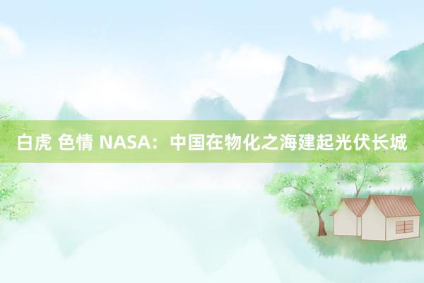 白虎 色情 NASA：中国在物化之海建起光伏长城