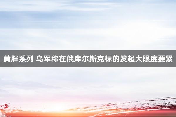 黄胖系列 乌军称在俄库尔斯克标的发起大限度要紧