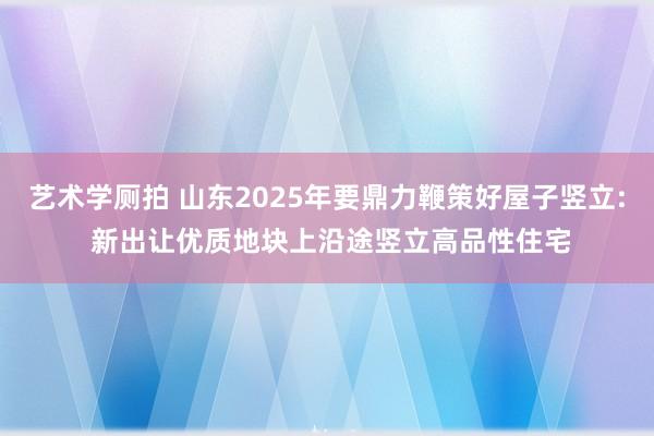 艺术学厕拍 山东2025年要鼎力鞭策好屋子竖立: 新出让优质地块上沿途竖立高品性住宅