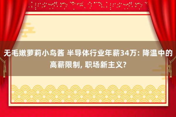 无毛嫩萝莉小鸟酱 半导体行业年薪34万: 降温中的高薪限制， 职场新主义?