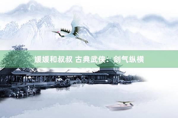 媛媛和叔叔 古典武侠：剑气纵横