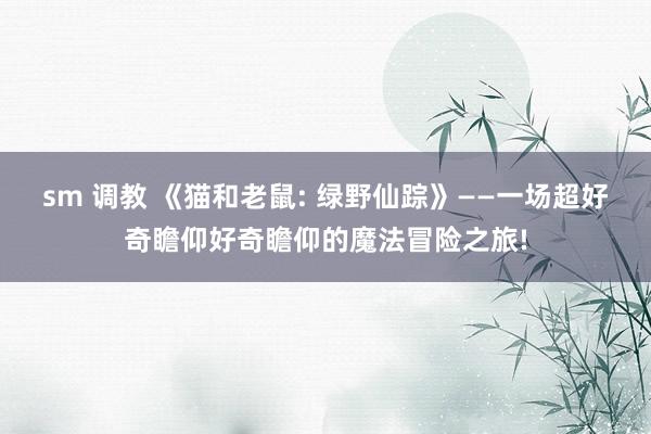 sm 调教 《猫和老鼠: 绿野仙踪》——一场超好奇瞻仰好奇瞻仰的魔法冒险之旅!